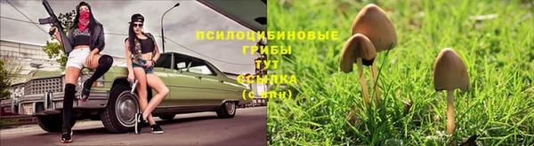 марки nbome Алексеевка