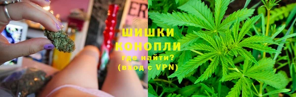 spice Алексин