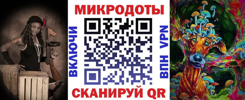 Галлюциногенные грибы Psilocybine cubensis  Ржев 