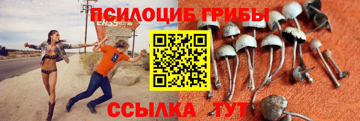 Псилоцибиновые грибы мицелий  Галлюциногенные грибы Psilocybe  Вход с VPN  Ржев 