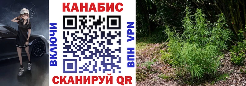 Шишки марихуана ГИДРОПОН  Ржев 